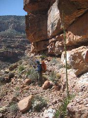 IMG_0708.JPG