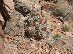 IMG_0710.JPG