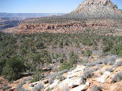 IMG_0686.JPG
