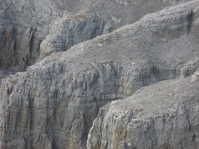 Roche Miette cliff detail