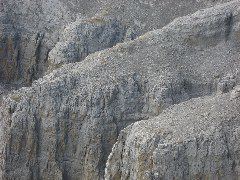 Roche Miette cliff detail