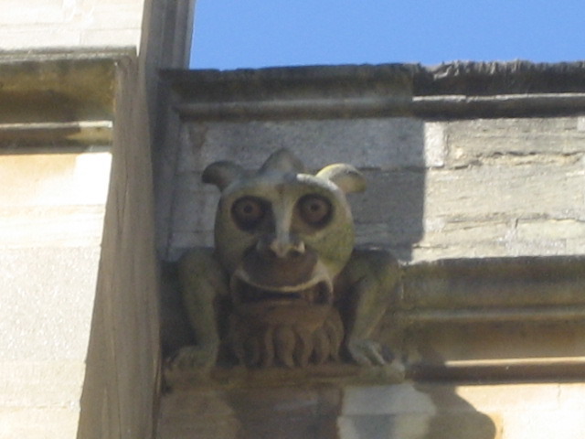 New college wild thing grotesque 