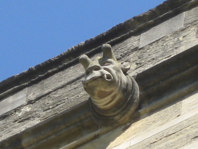 New College Shrek Grotesque