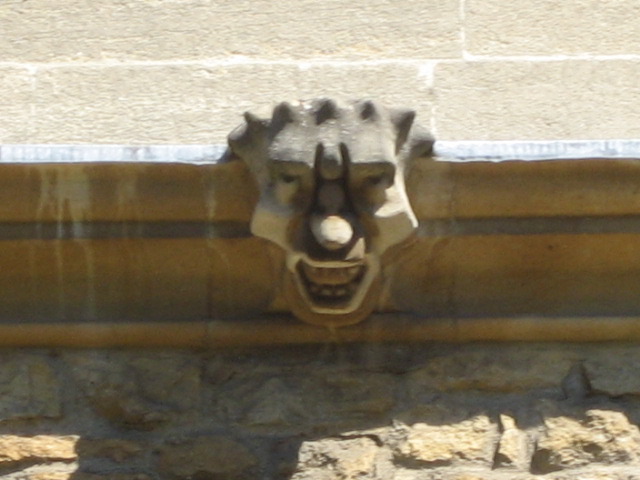 New College Cheekbone Grotesque