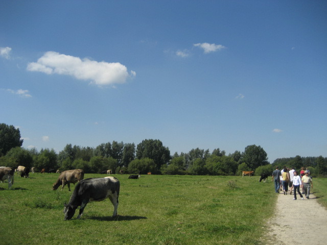 Crossing a pasture on the way to the Trout