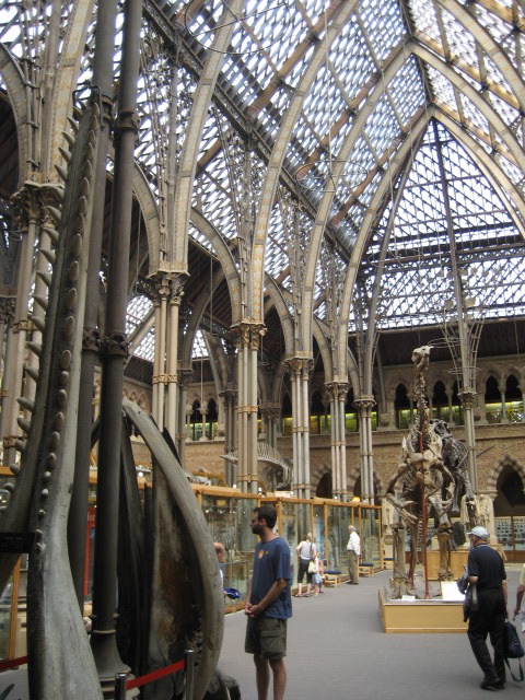 Pitt Rivers Museum