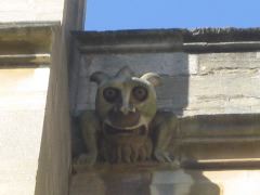 New college wild thing grotesque 