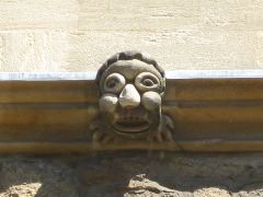 New College Cheeky Grotesque