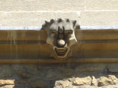 New College Cheekbone Grotesque