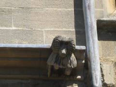 New College Baboon Grotesque