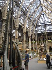 Pitt Rivers Museum